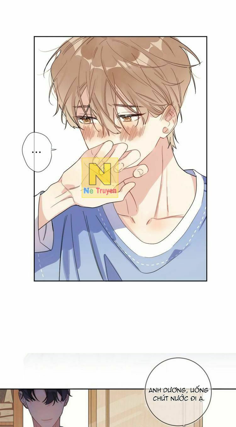 Ánh Nắng Rực Rỡ Của Tinh Trình: Chapter 3