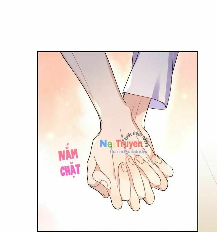 Ánh Nắng Rực Rỡ Của Tinh Trình: Chapter 3