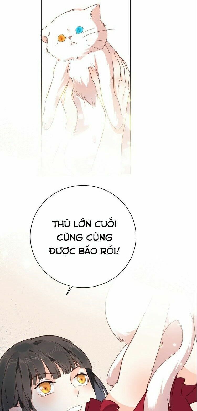 Hầu Nữ Giá Đáo: Chapter 19