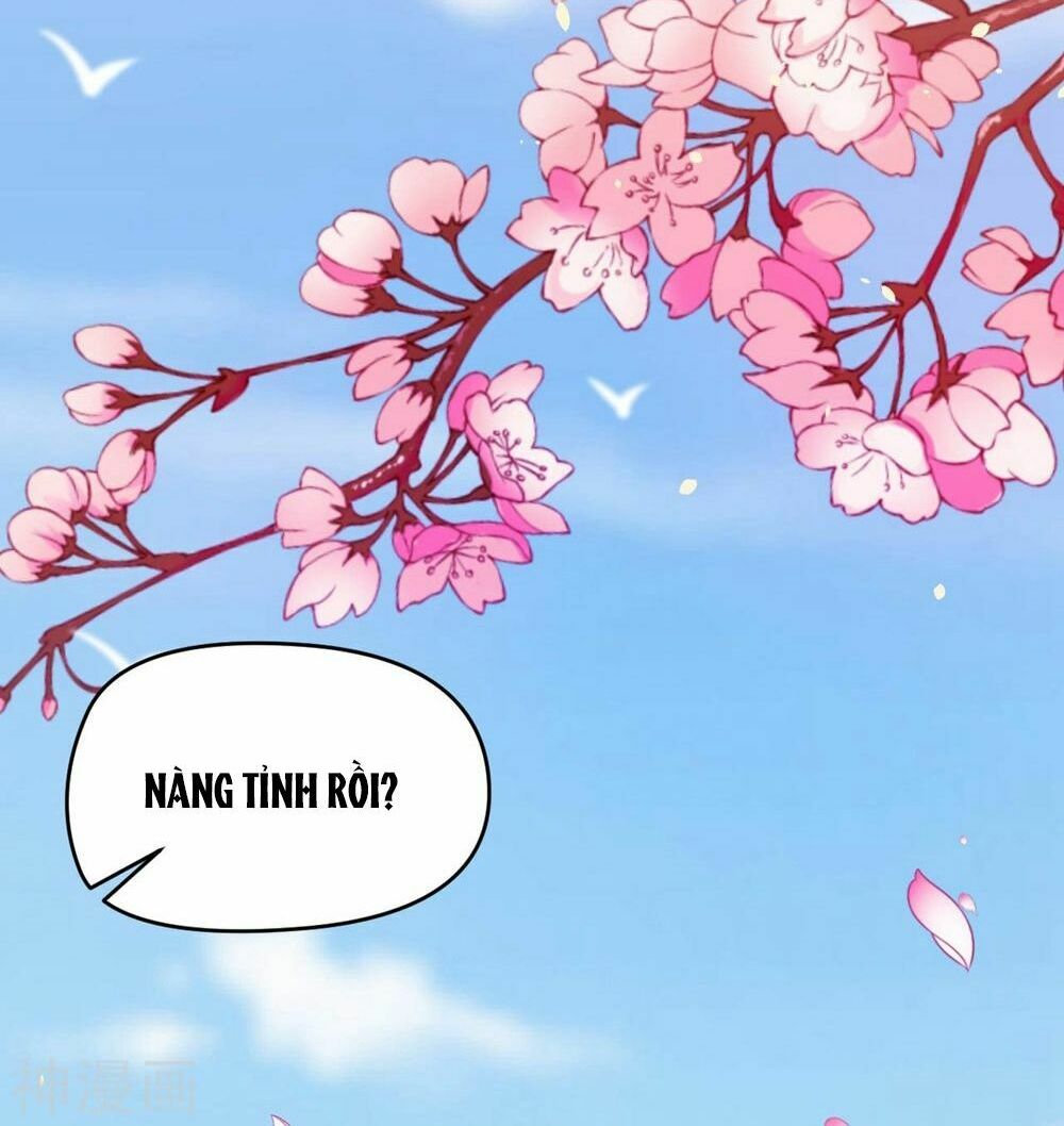 Dòng Máu Ngọt Ngào: Chapter 1