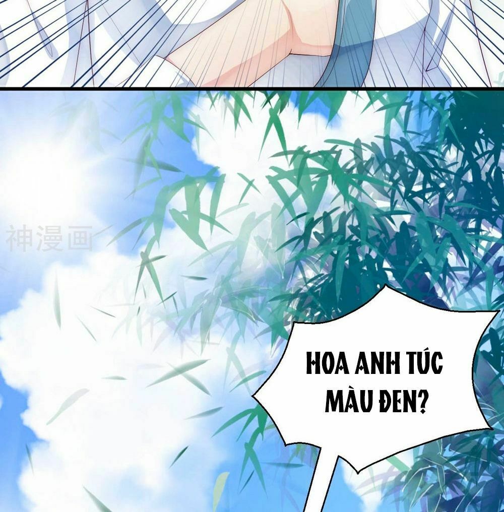 Dòng Máu Ngọt Ngào: Chapter 2