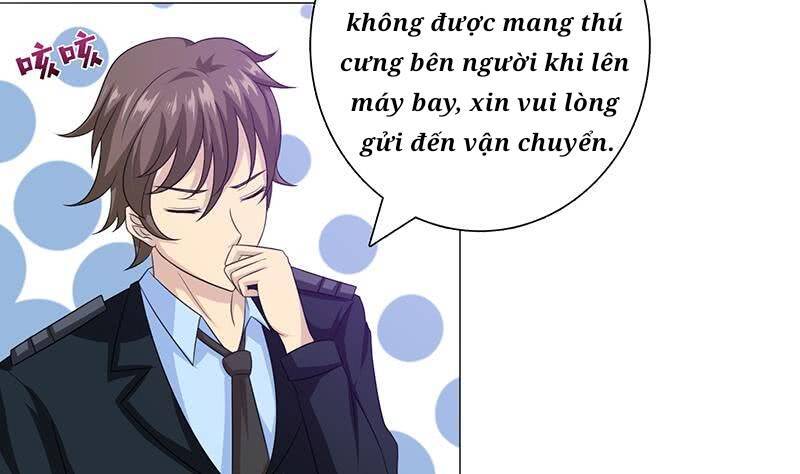 Luôn Có Thần Tiên Muốn Hãm Hại Ta: Chapter 114