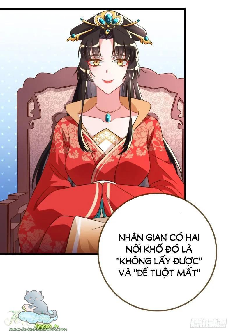 Vạn Tra Triều Hoàng: Vạn Tra Triều Hoàng – Chap 11