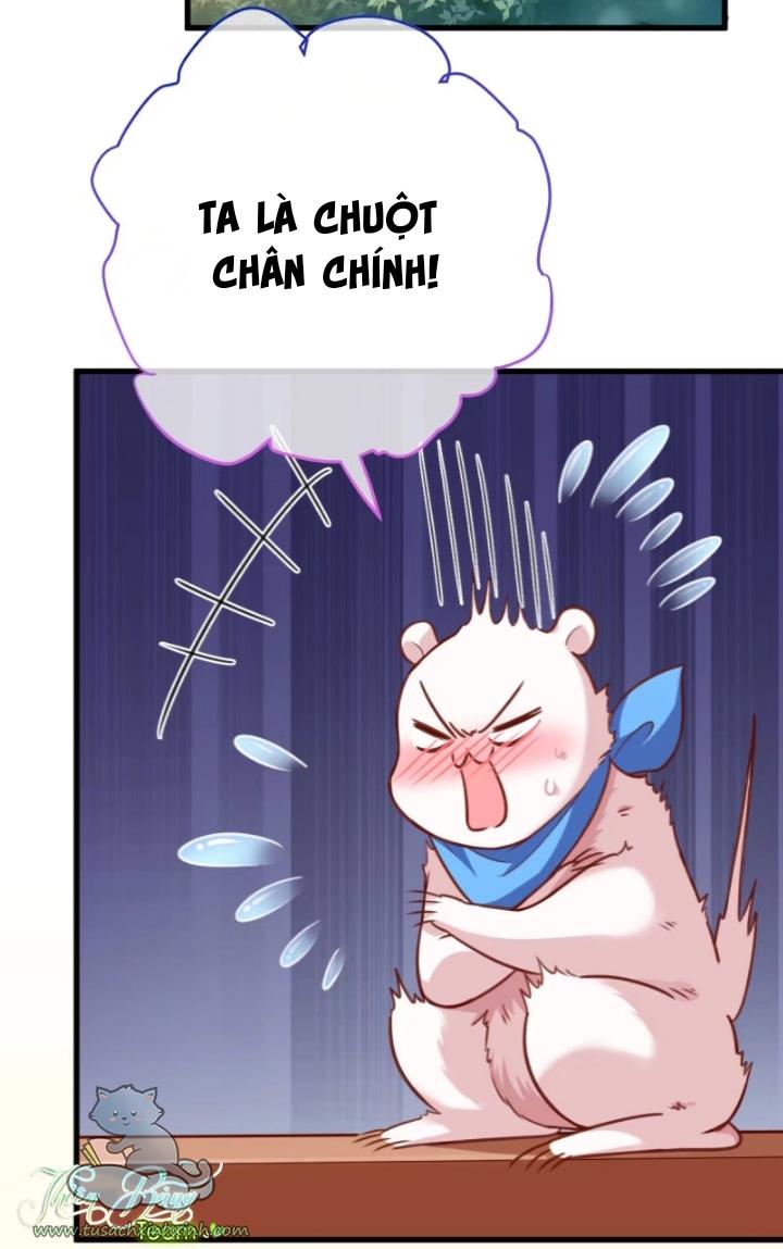 Vạn Tra Triều Hoàng: Vạn Tra Triều Hoàng – Chap 155