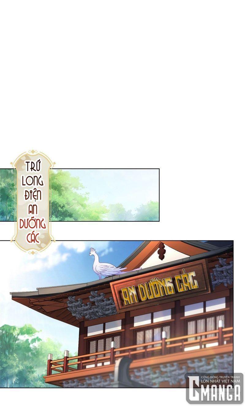 Mục Long Sư: Chapter 19