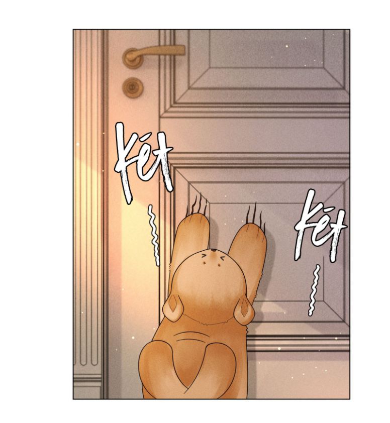 Dior Tiên Sinh Lk: Chapter 52
