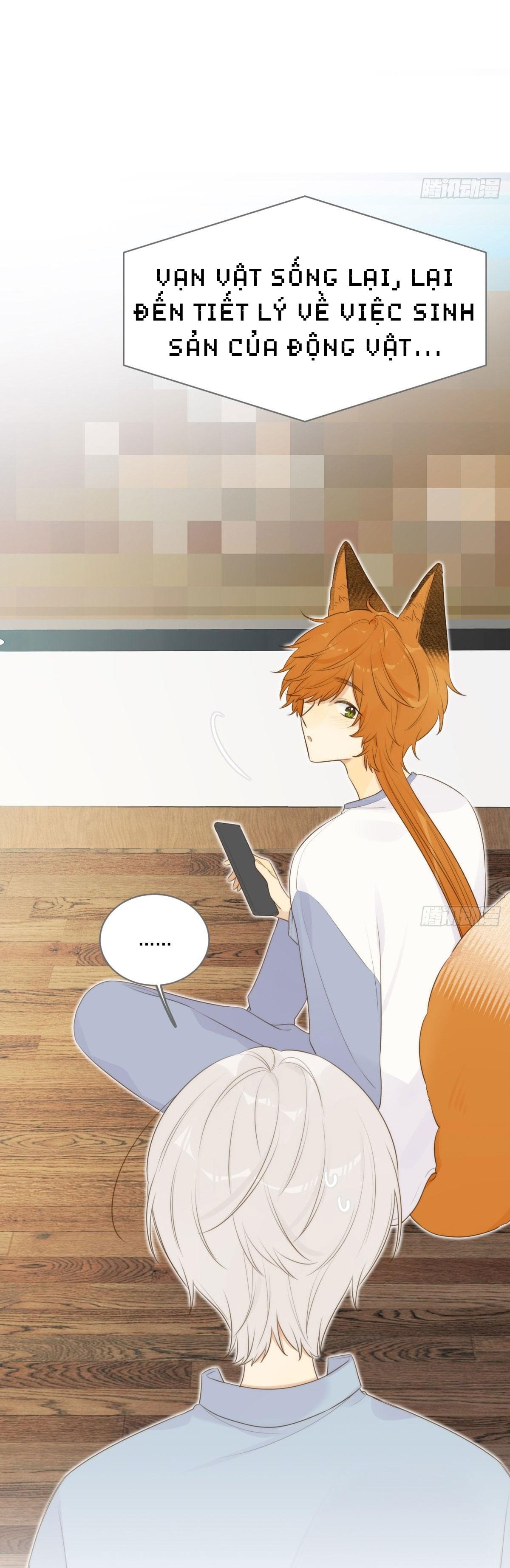 Chỉ Riêng Đuôi Là Không Được!!!: Chapter 13