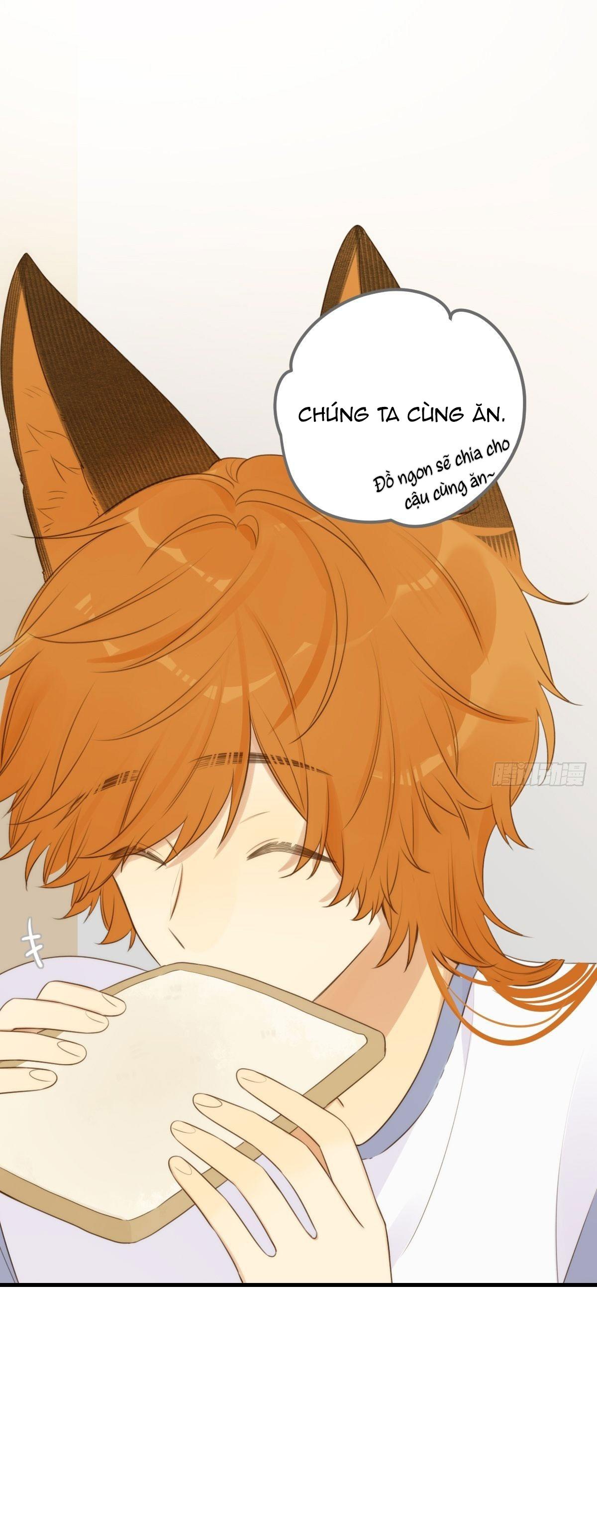 Chỉ Riêng Đuôi Là Không Được!!!: Chapter 13