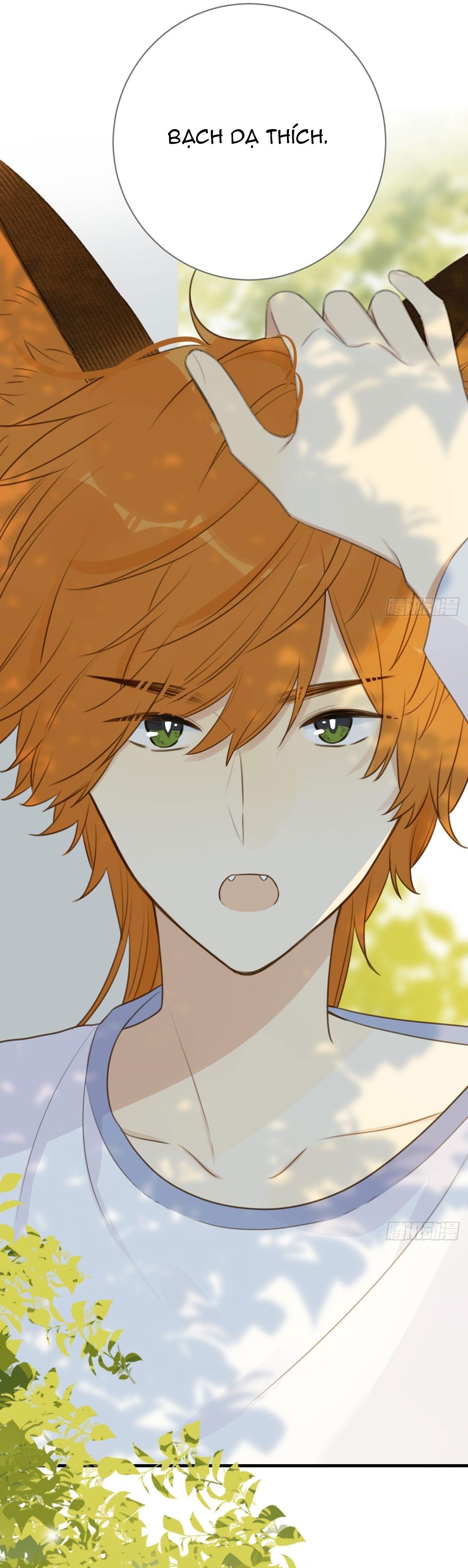 Chỉ Riêng Đuôi Là Không Được!!!: Chapter 13