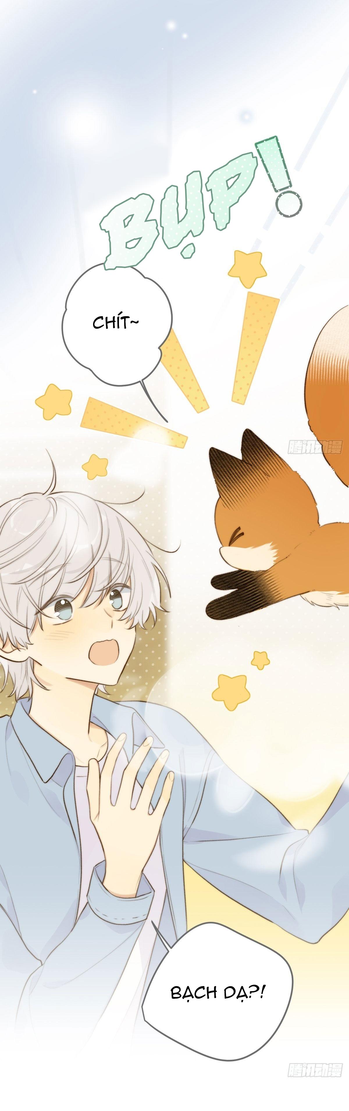 Chỉ Riêng Đuôi Là Không Được!!!: Chapter 13