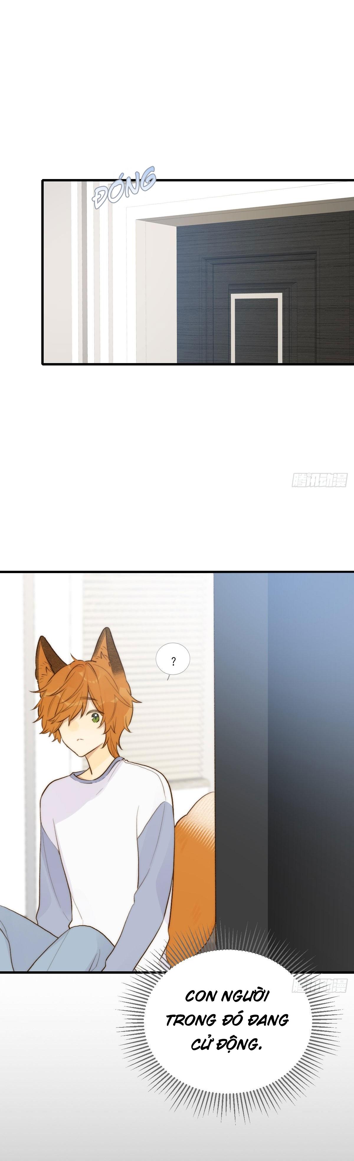 Chỉ Riêng Đuôi Là Không Được!!!: Chapter 13