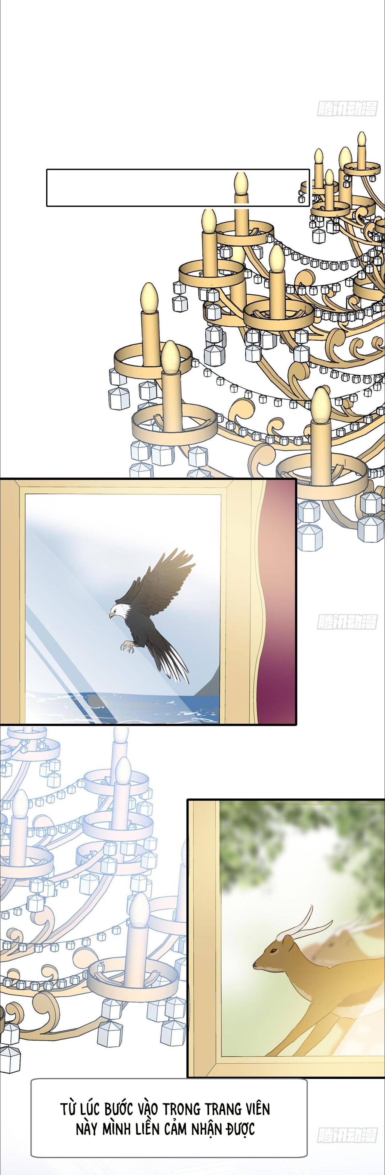 Chỉ Riêng Đuôi Là Không Được!!!: Chapter 22
