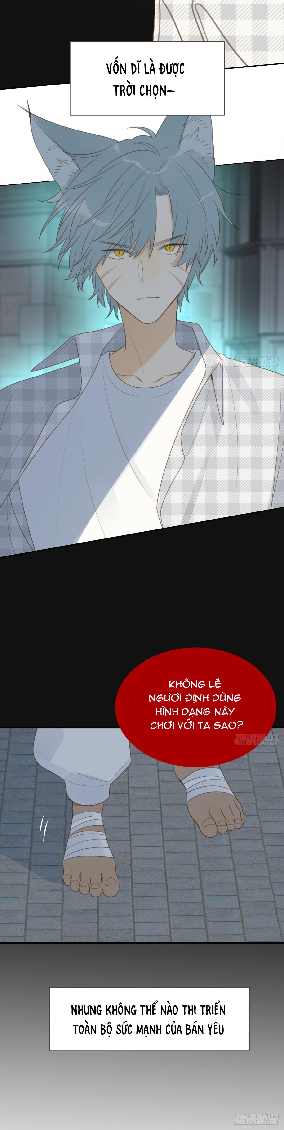Chỉ Riêng Đuôi Là Không Được!!!: Chapter 28