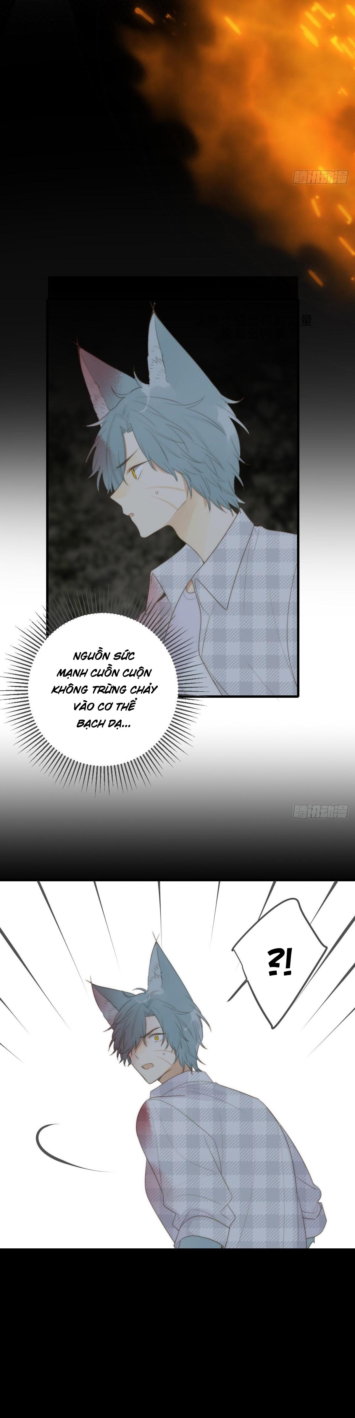 Chỉ Riêng Đuôi Là Không Được!!!: Chapter 29