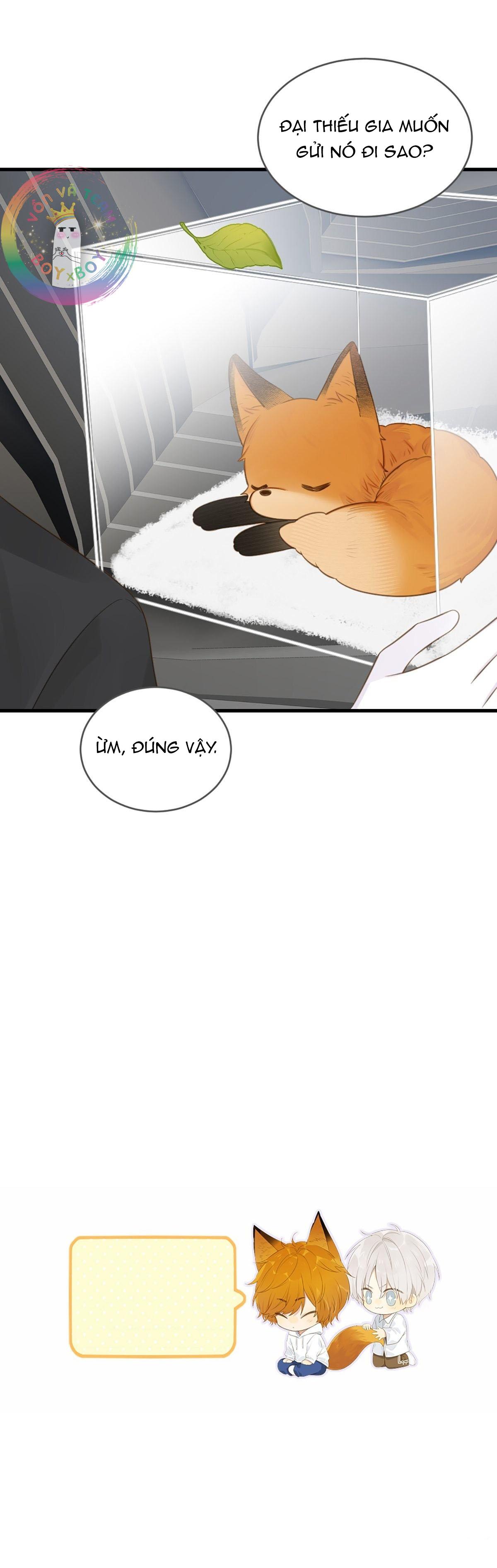 Chỉ Riêng Đuôi Là Không Được!!!: Chapter 7