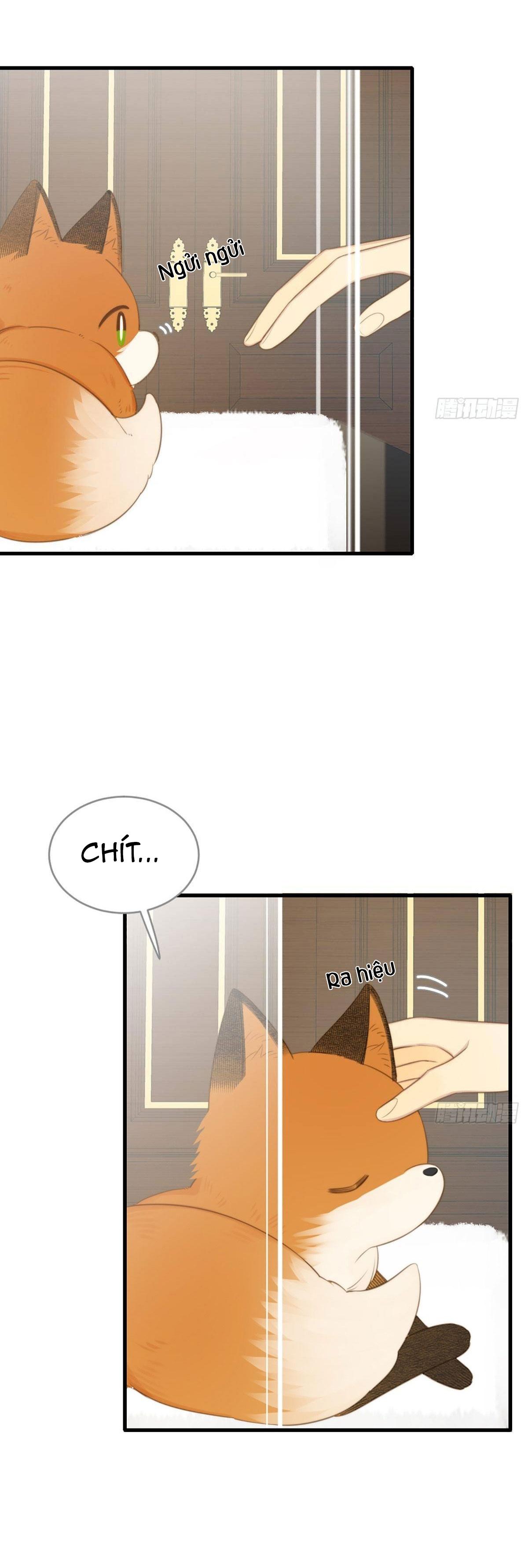 Chỉ Riêng Đuôi Là Không Được!!!: Chapter 9