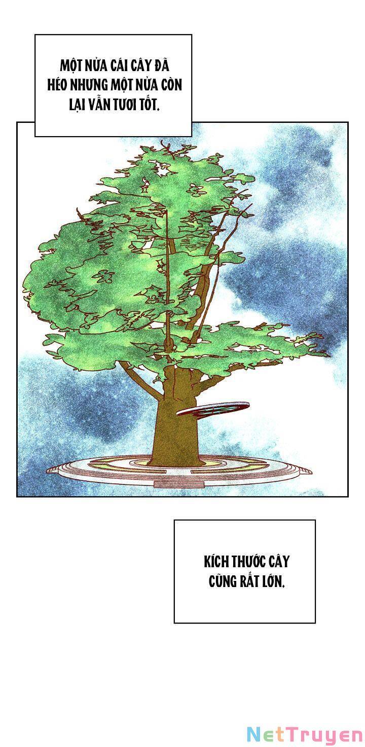 Bí Kíp Sinh Tồn Của Hầu Gái: Chapter 56