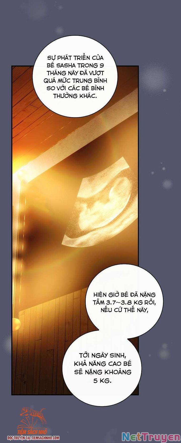 Đứa Bé Đó Không Phải Con Anh: Chapter 24