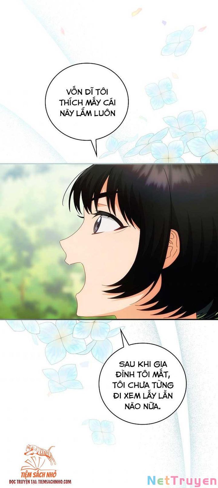 Đứa Bé Đó Không Phải Con Anh: Chapter 24