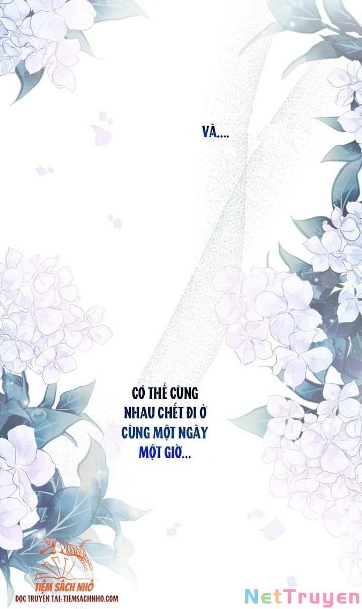 Đứa Bé Đó Không Phải Con Anh: Chapter 25