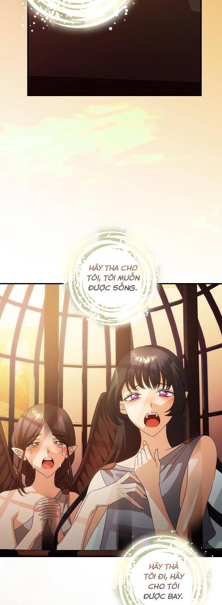 Đứa Bé Đó Không Phải Con Anh: Chapter 34