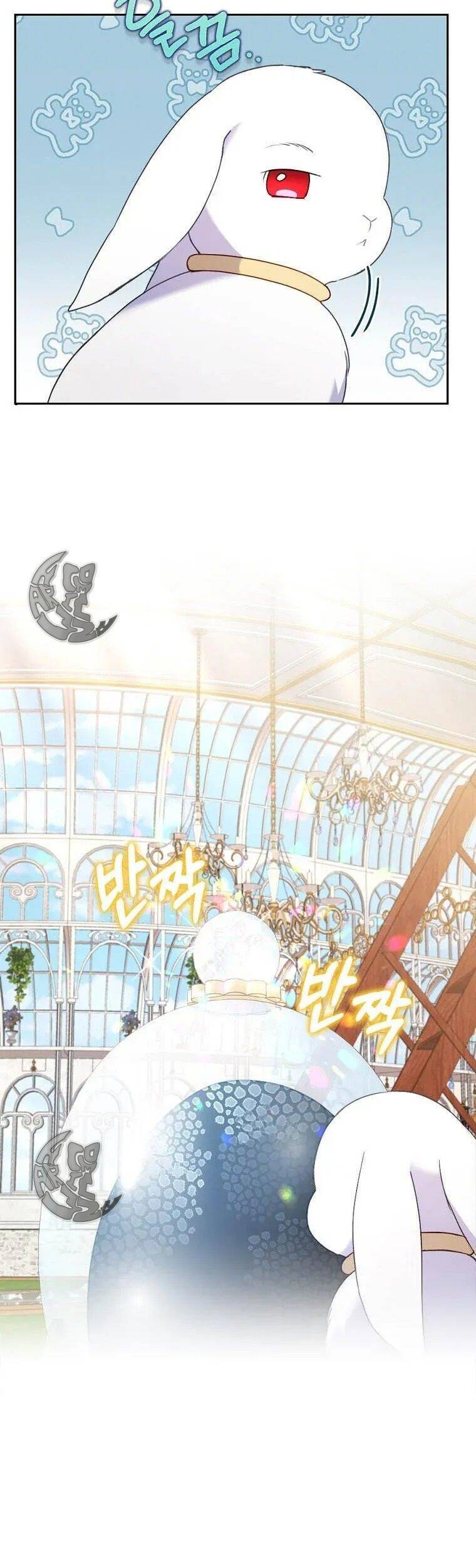Tôi Bị Quyến Rũ Bởi Nam Chính Ốm Yếu: Chapter 23