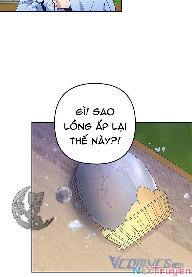 Tôi Bị Quyến Rũ Bởi Nam Chính Ốm Yếu: Chapter 25