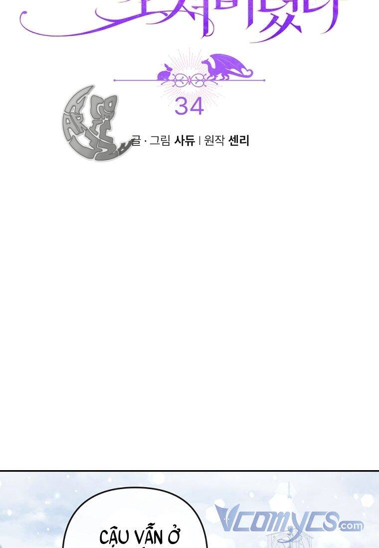 Tôi Bị Quyến Rũ Bởi Nam Chính Ốm Yếu: Chapter 34