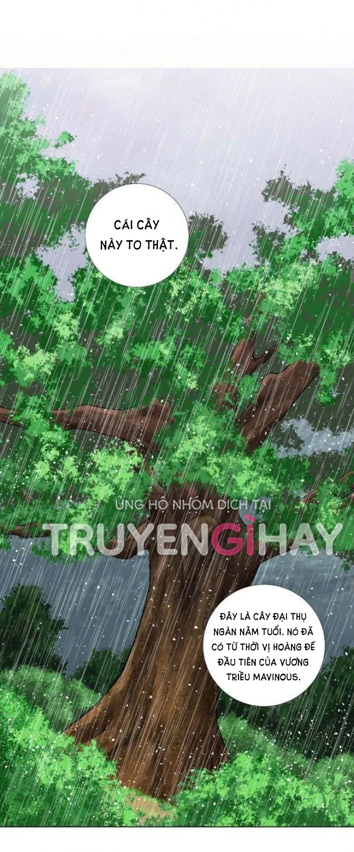 Từ Tiểu Thư Thành Hoàng Hậu - Lady To Queen: Chapter 24.2