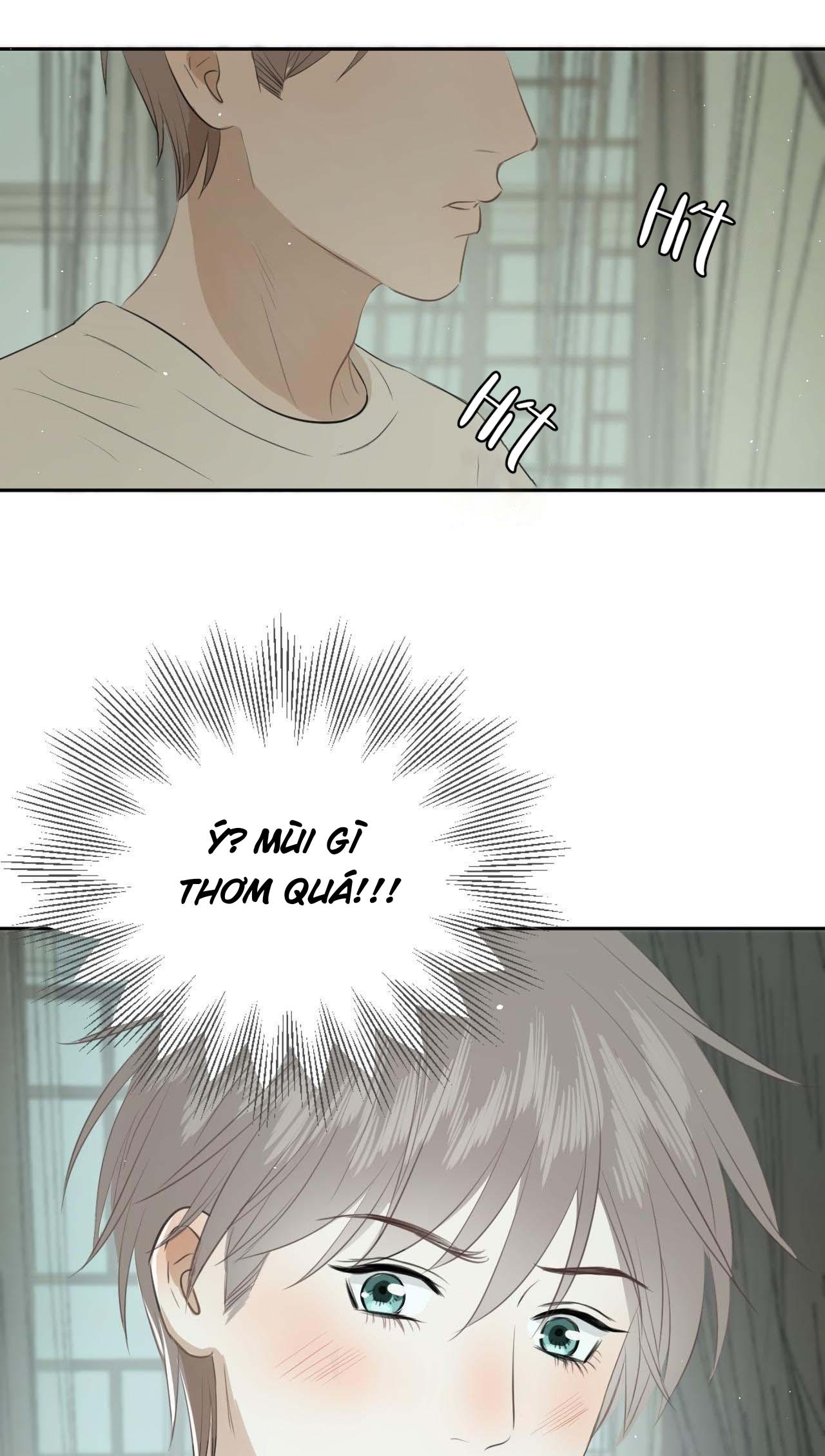 Không Tỳ Vết: Chapter 5
