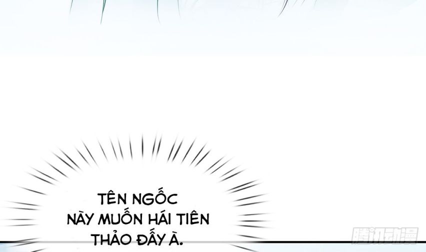 Đánh Chết Cũng Không Làm Sư Tôn: Chapter 16