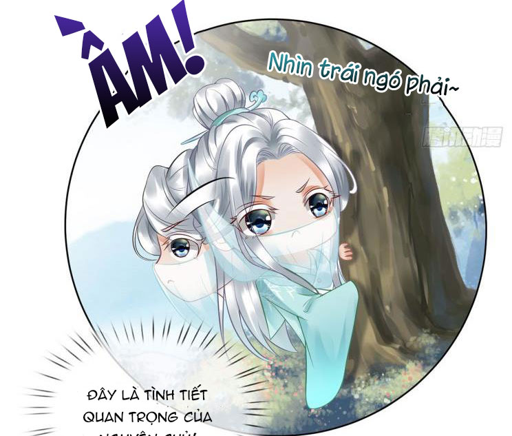 Đánh Chết Cũng Không Làm Sư Tôn: Chapter 6