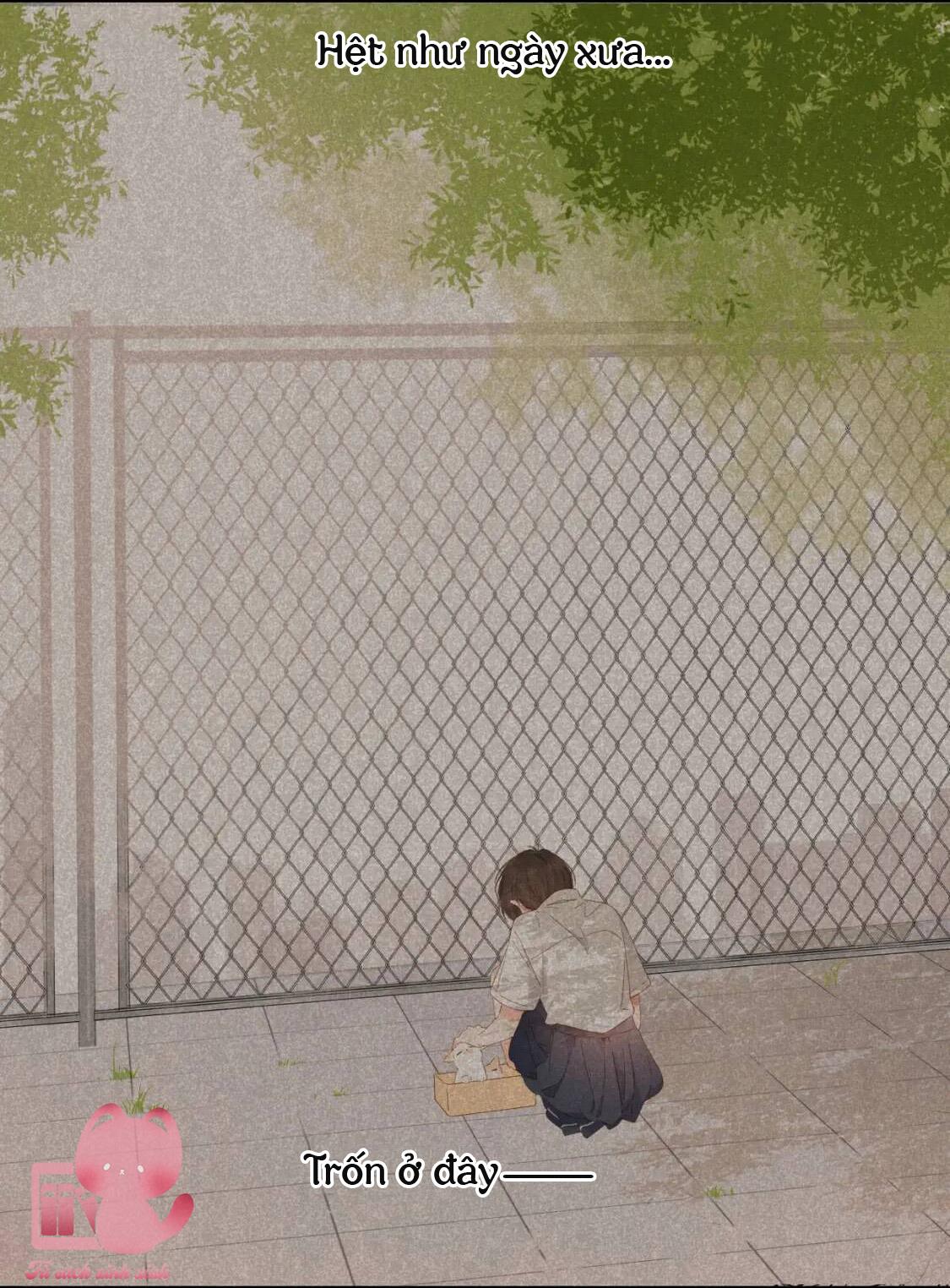 Lại Được Gặp Em: Lại Được Gặp Em – Chap 26