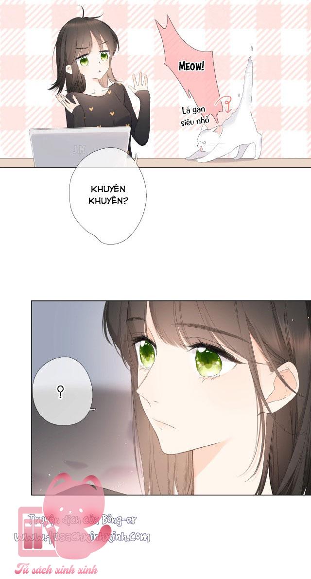 Lại Được Gặp Em: Lại Được Gặp Em – Chap 4.5