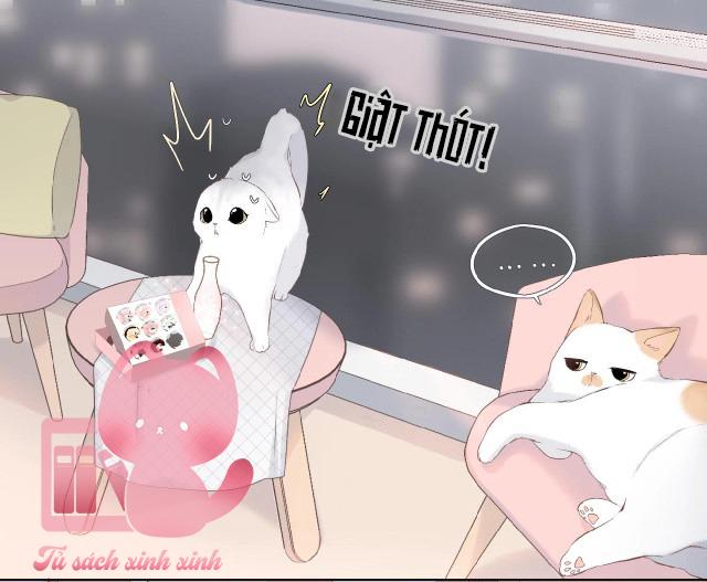 Lại Được Gặp Em: Lại Được Gặp Em – Chap 4