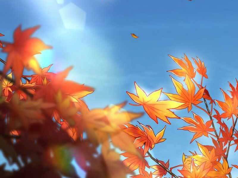 Bác Sĩ Hoàn Hảo: Chương 29