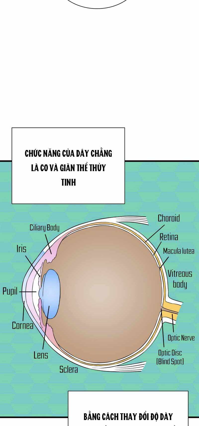 Bác Sĩ Hoàn Hảo: Chương 6