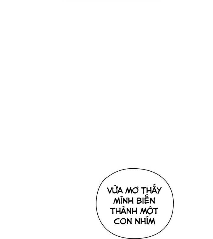 Bệ Hạ, Ta Sẽ Nuôi Dạy Con Của Ngài Thật Tốt: Chapter 47