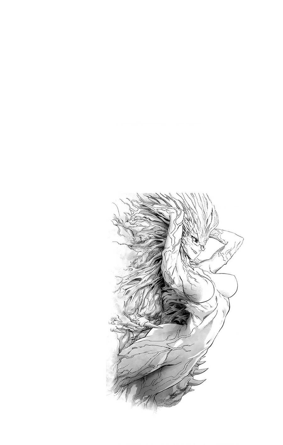 Onepunch Man: Chương 234.5