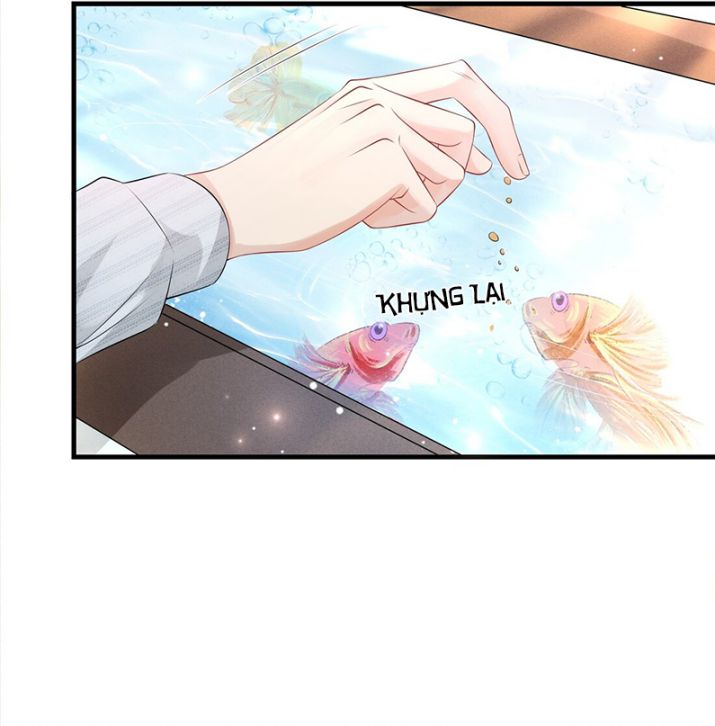 Peter Pan Và Cinderella: Chapter 4