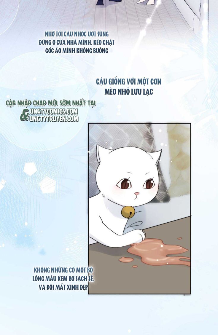 Kem Bơ Chất Lượng Kém: Chapter 16