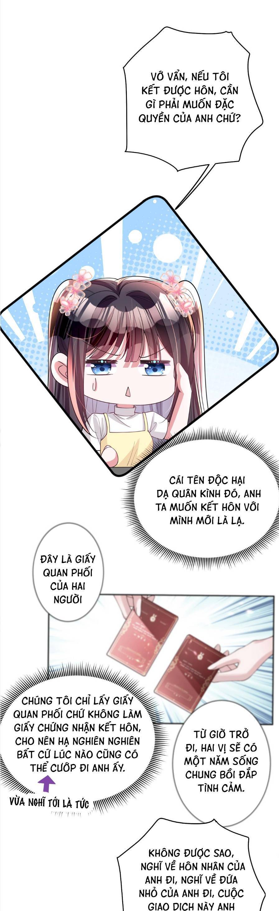 Cuộc Hôn Nhân Với Boss Nhà Giàu Khét Tiếng: Chương 61
