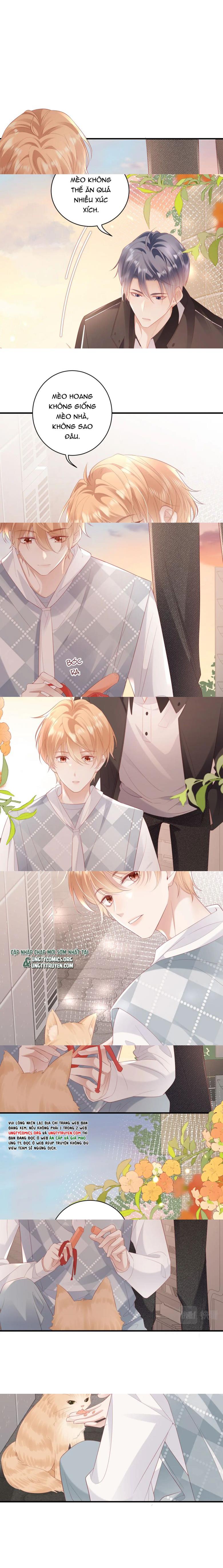 Cất Giấu: Chapter 15