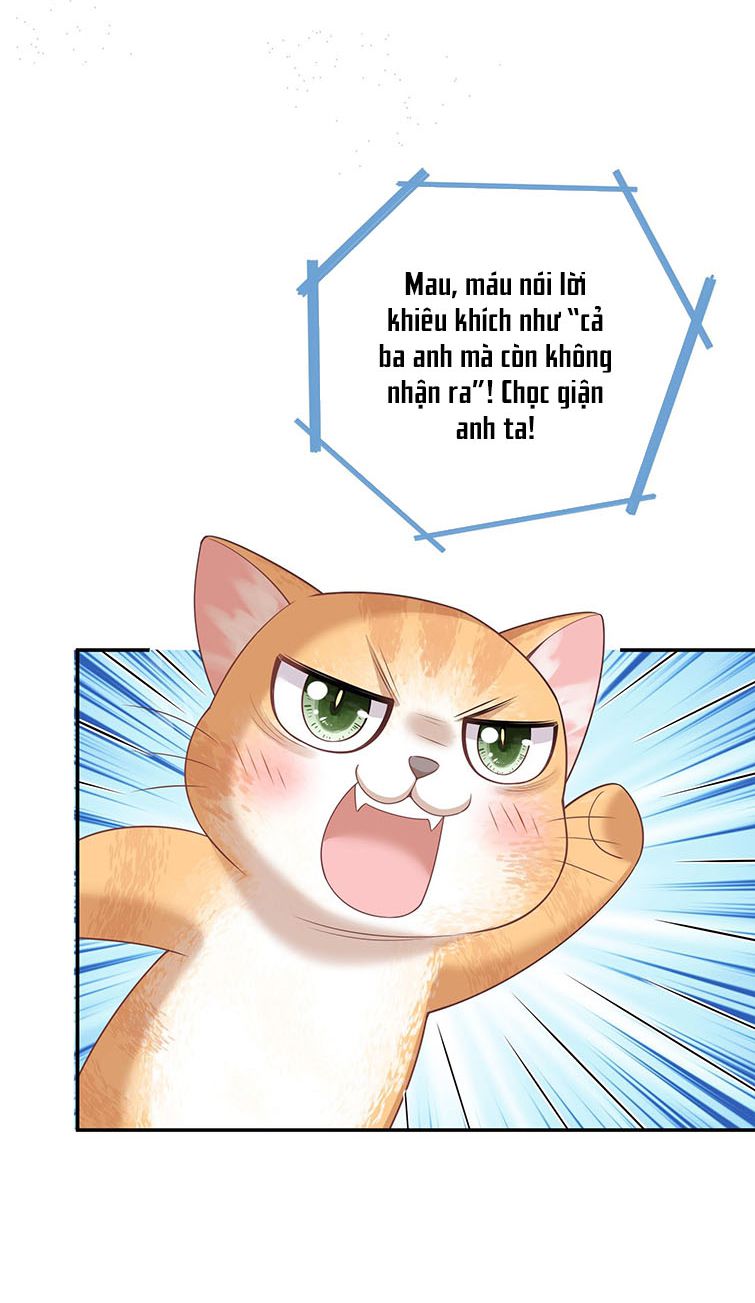 Nhân Thê Thụ Bị Bắt Tiếp Kịch Bản Cường Thụ: Chapter 2