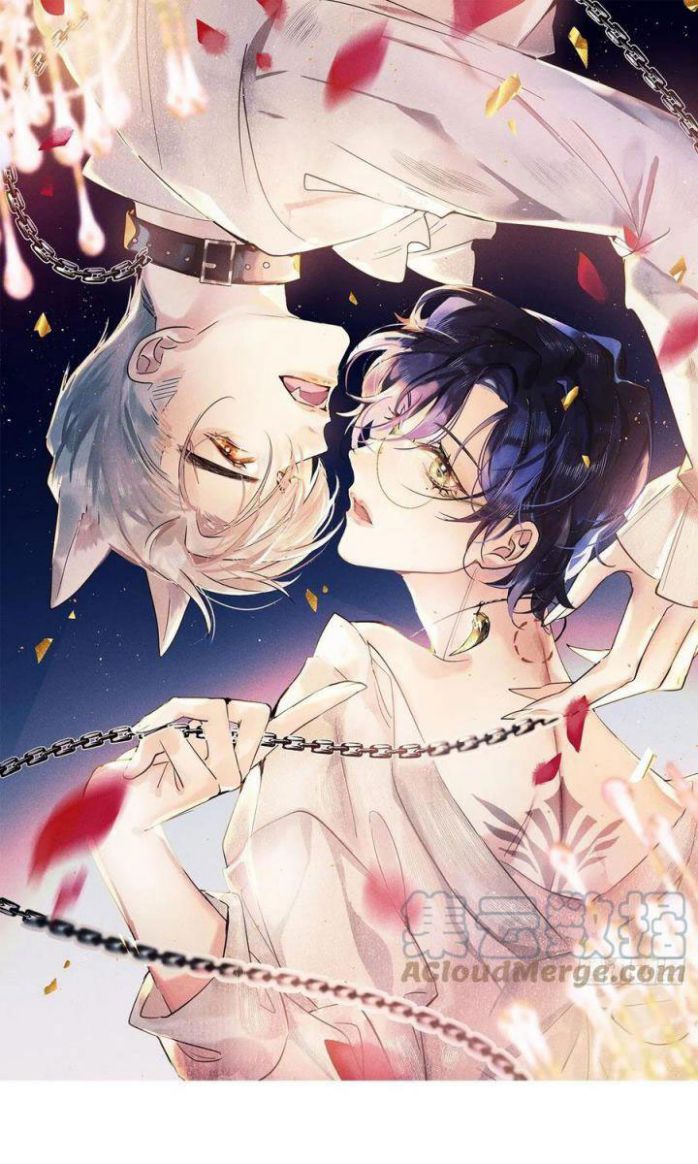 Lang Lang Thượng Khẩu: Chapter 34