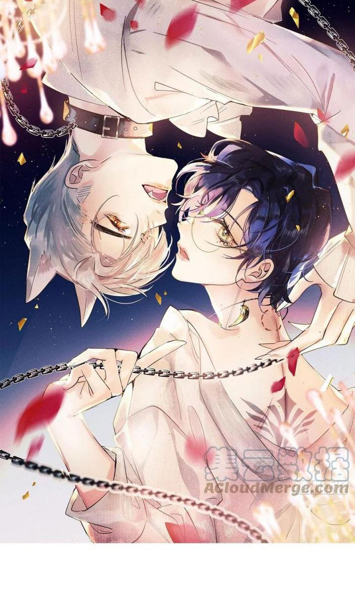 Lang Lang Thượng Khẩu: Chapter 37