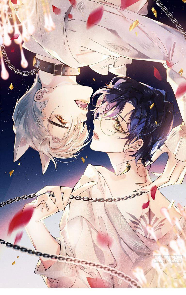 Lang Lang Thượng Khẩu: Chapter 53