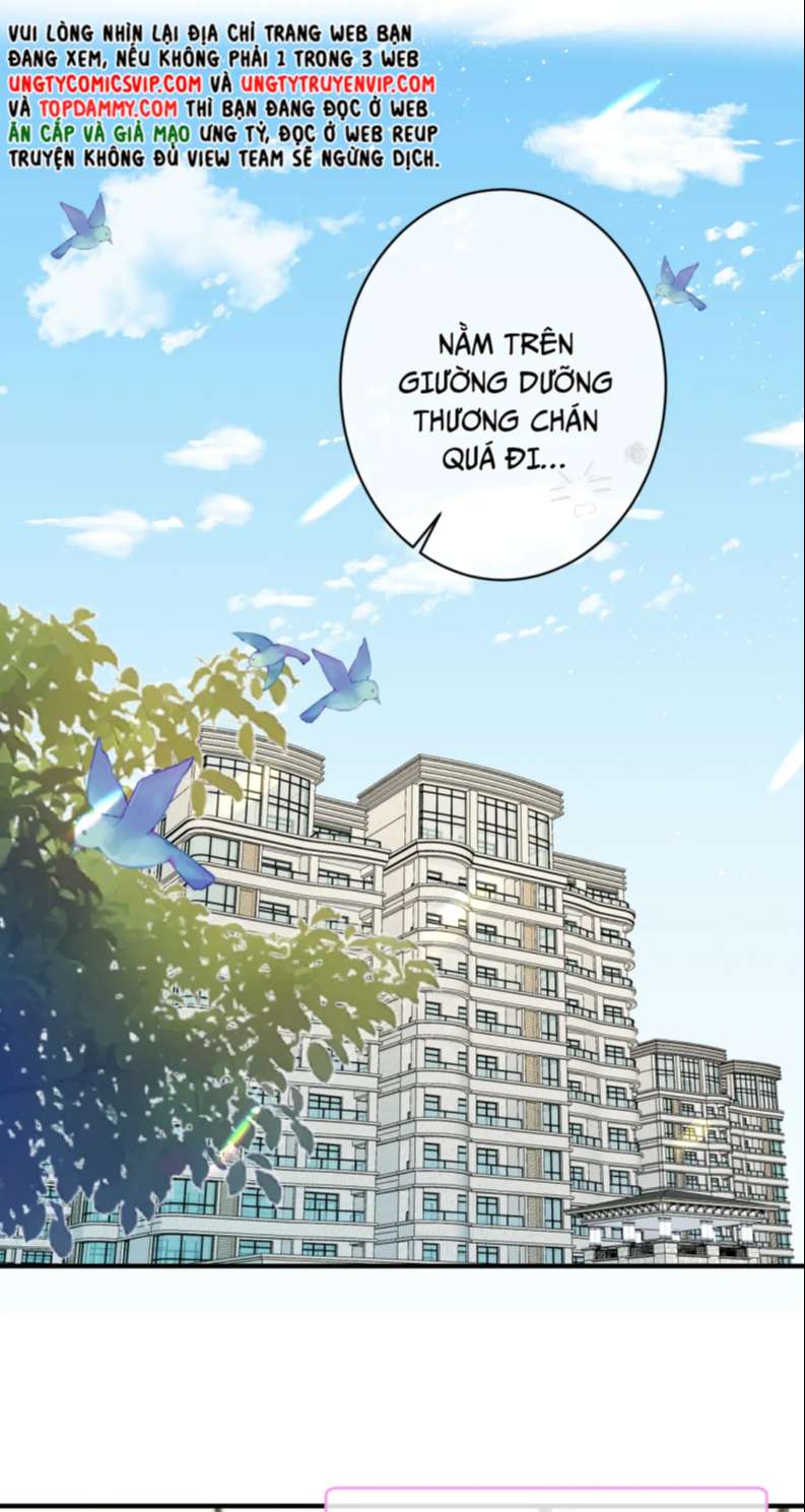 Kế Hoạch Tẩy Trắng Hắc Nguyệt Quang: Chapter 61