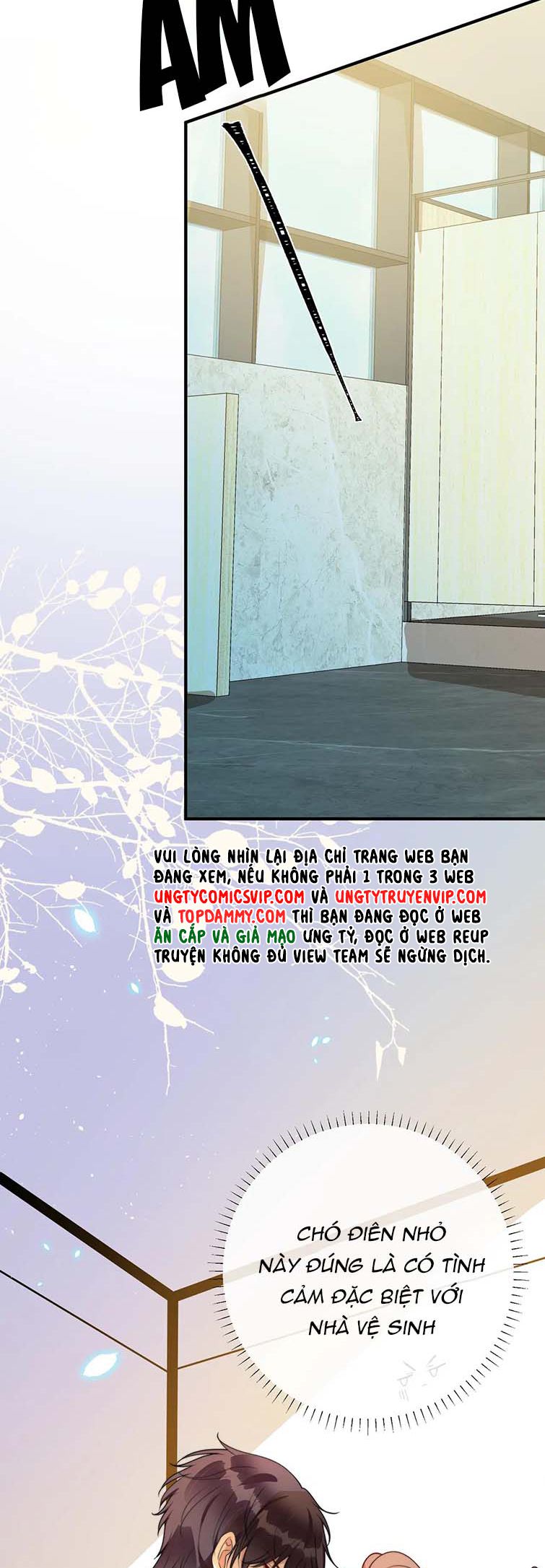 Kế Hoạch Tẩy Trắng Hắc Nguyệt Quang: Chapter 62