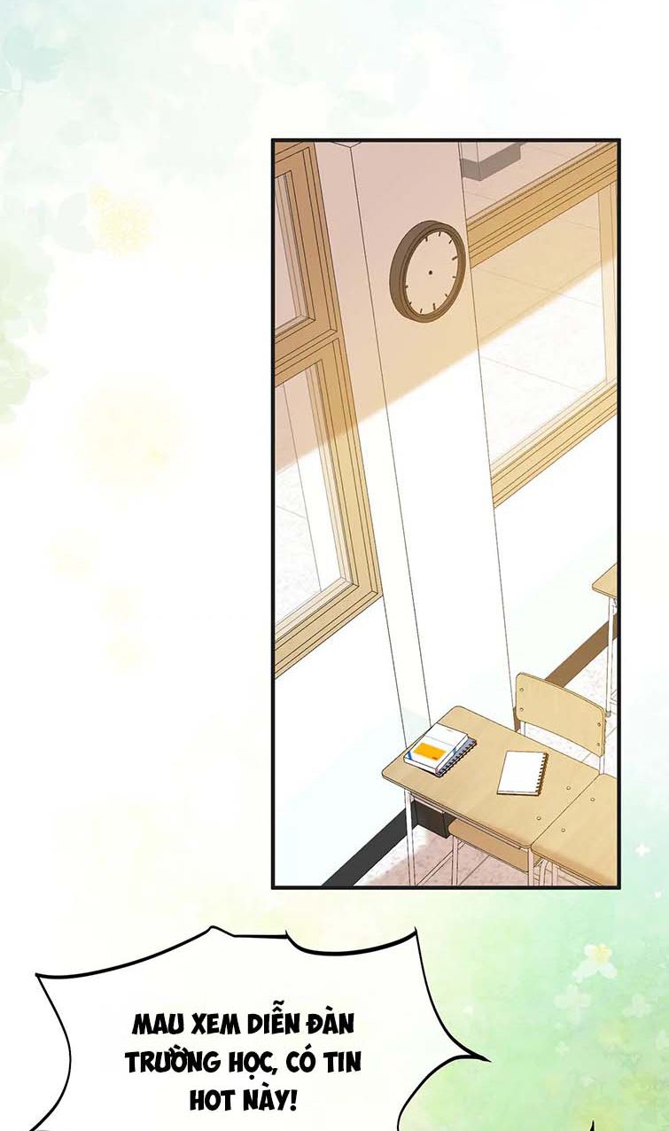 Kế Hoạch Tẩy Trắng Hắc Nguyệt Quang: Chapter 62
